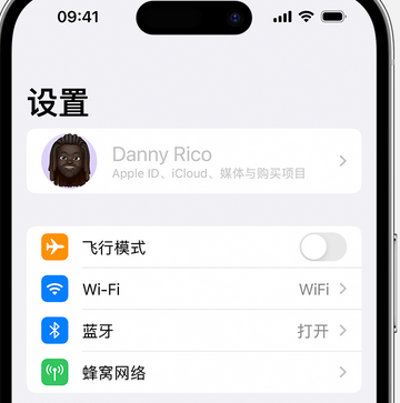 铁山港appleID维修服务iPhone设置中Apple ID显示为灰色无法使用 