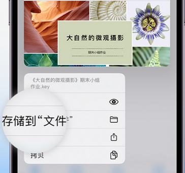 铁山港apple维修中心分享iPhone文件应用中存储和找到下载文件