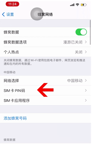 铁山港苹果14维修网分享如何给iPhone14的SIM卡设置密码 