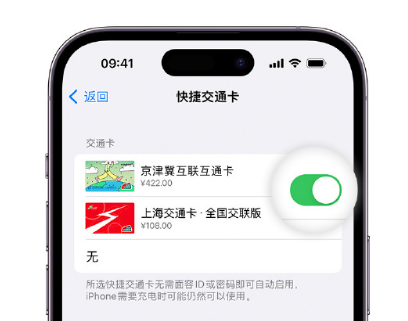 铁山港apple维修点分享iPhone上更换Apple Pay快捷交通卡手绘卡面 