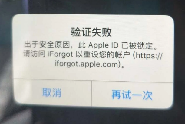 铁山港iPhone维修分享iPhone上正常登录或使用AppleID怎么办 