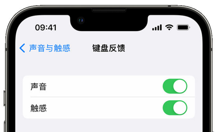 铁山港苹果手机维修分享iPhone 14触感键盘使用方法 