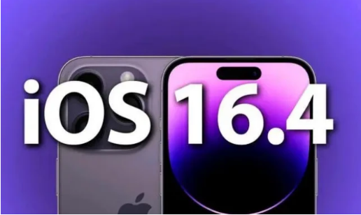 铁山港苹果14维修分享：iPhone14可以升级iOS16.4beta2吗？ 