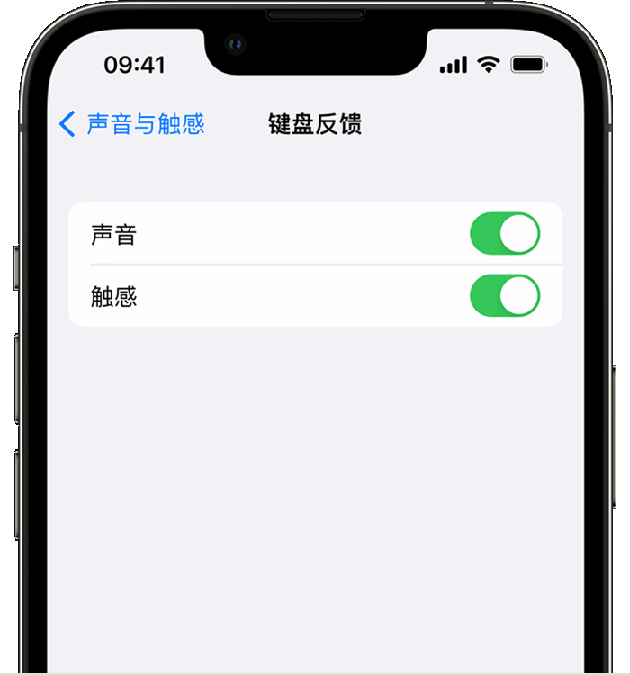 铁山港苹果14维修店分享如何在 iPhone 14 机型中使用触感键盘 