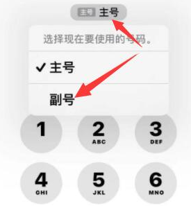 铁山港苹果14维修店分享iPhone 14 Pro Max使用副卡打电话的方法 