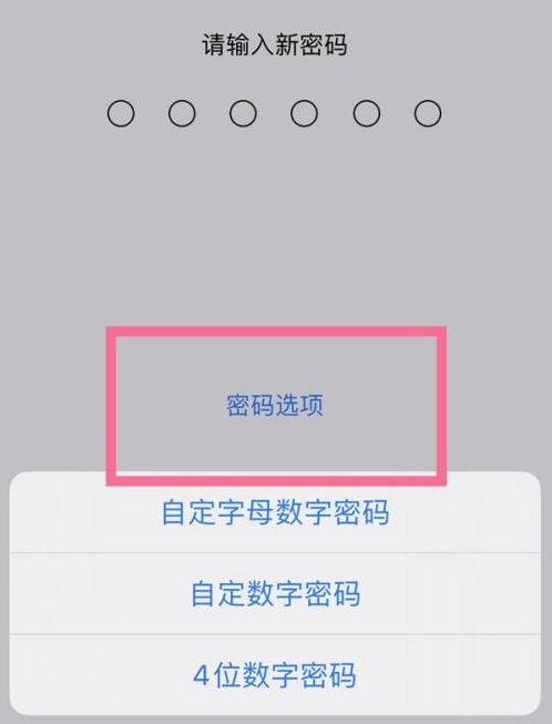 铁山港苹果14维修分享iPhone 14plus设置密码的方法 