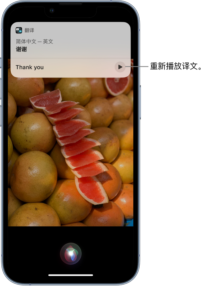 铁山港苹果14维修分享 iPhone 14 机型中使用 Siri：了解 Siri 能帮你做什么 