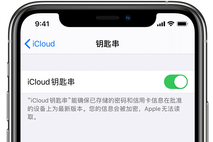 铁山港苹果手机维修分享在 iPhone 上开启 iCloud 钥匙串之后会储存哪些信息 