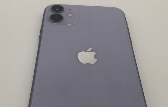 铁山港苹果11系统维修分享iPhone11手机系统崩溃无法开机如何解决 