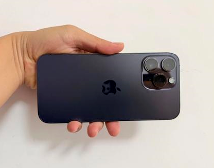 铁山港苹果维修点分享iPhone 14 Pro Max发烫多重诱因剖析 